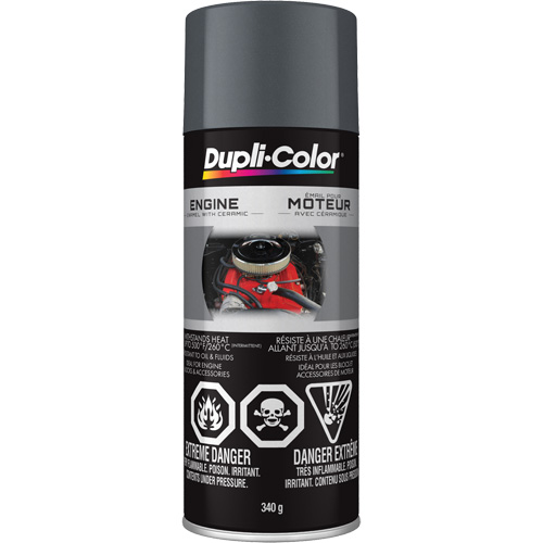 Engine Enamel Paint with Ceramic, Cast Iron Grey, High-Gloss, 12 oz., Aerosol Can Brunswick Fyr & Safety