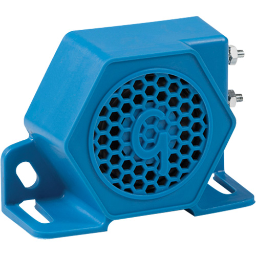 Alarme de secours Brunswick Fyr & Safety