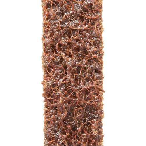 Courroies de traitement des surfaces Scotch-Brite Brunswick Fyr & Safety