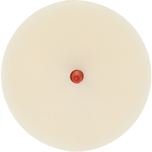 Disque pour enlever les bandes et les adh&eacute;sifs pour moulures Scotch-Brite, 4" dia. Brunswick Fyr & Safety