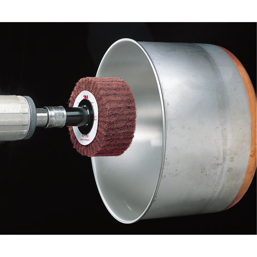 Brosses &agrave; lamelles Scotch-Brite Brunswick Fyr & Safety
