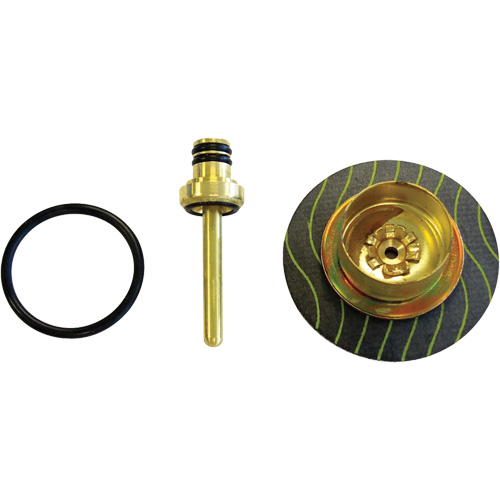 Filter/Regulator - Relieving Diaphragm & Valve Assembly Brunswick Fyr & Safety