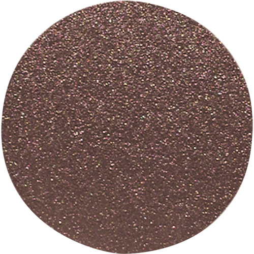 Wood Sanding Disc, 12" Dia., 80 Grit Brunswick Fyr & Safety