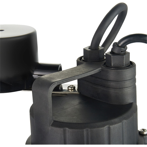 Pompe de puisard submersible thermoplastique, 2560 gal./h, 115 V, 4,6 A, 1/3 CV Brunswick Fyr & Safety