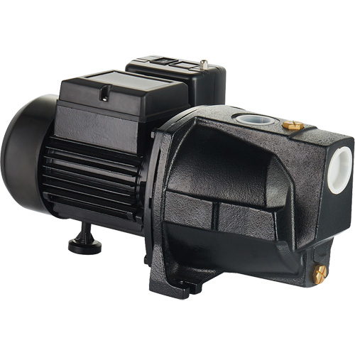 Pompe &agrave; jet en fonte &agrave; double tension pour puit peu profond, 115 V/230 V, 1100 gal./h, 1 CV Brunswick Fyr & Safety