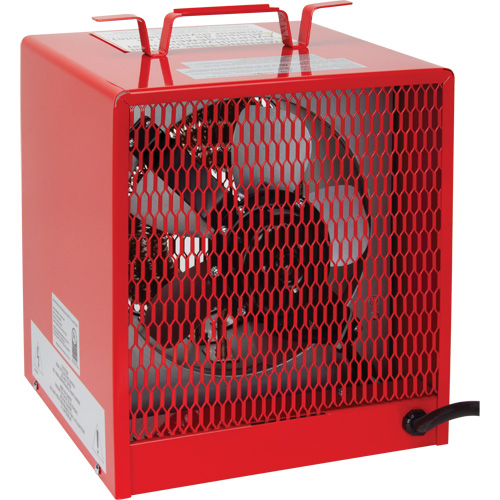 Radiateur, Entrepreneur, &eacute;lectrique, 19100 BTU/H Brunswick Fyr & Safety