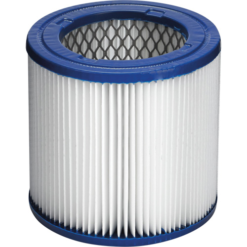 Filtre pour aspirateur les cendres ultra-fines CleanStream, Cartouche/Hepa Brunswick Fyr & Safety
