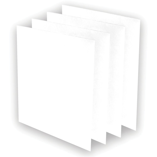 AeraMax&reg; Pro AM3 or AM4 Pre-Filters, 13.75" W x 0.13" D x 14.38" H Brunswick Fyr & Safety