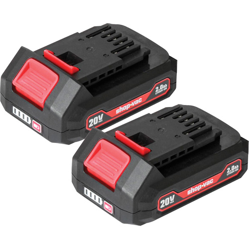 Piles au lithium 2.0Ah- Paquet de 2, 20 V Brunswick Fyr & Safety