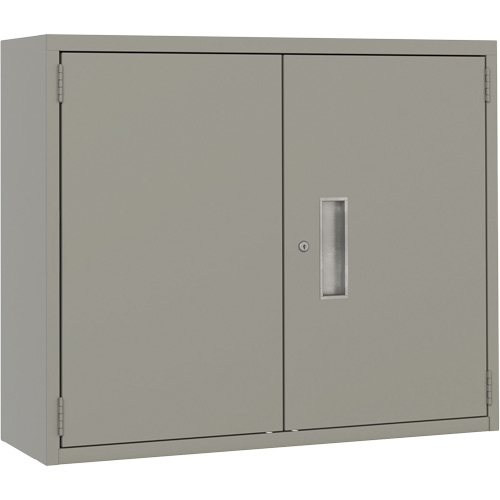 Armoire murale, Acier, 2 Tablettes, 30" h x 36" la x 12" P, Gris Brunswick Fyr & Safety