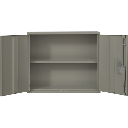 Armoire murale, Acier, 2 Tablettes, 30" h x 36" la x 12" P, Gris Brunswick Fyr & Safety