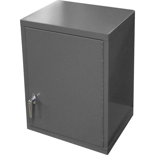 Armoire murale, 27" h x 13-11/16" la x 18" p, 2 tablettes, Acier, Gris Brunswick Fyr & Safety