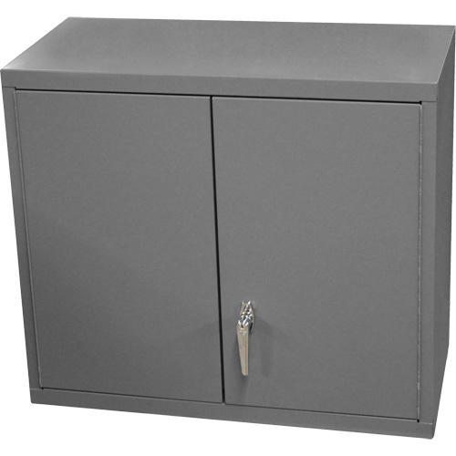Armoire murale, 27" h x 13-11/16" la x 35-7/8" p, 2 tablettes, Acier, Gris Brunswick Fyr & Safety
