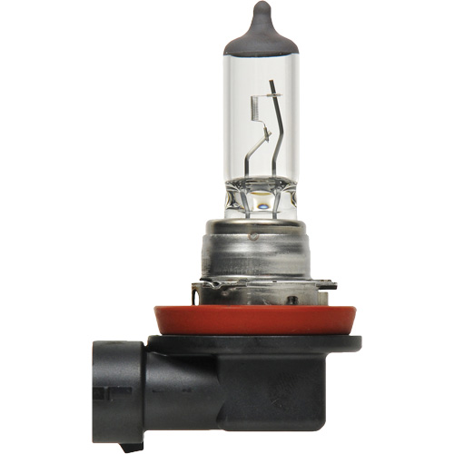 H8 Basic Headlight Bulb, Halogen, 35 W, Off White Brunswick Fyr & Safety
