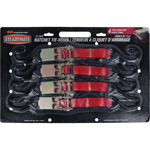 Tendeurs d'arrimage &agrave; cliquet, Crochet en S, 1" , 12' , Charge d'utilisation max. 500 lb (230 kg) Brunswick Fyr & Safety