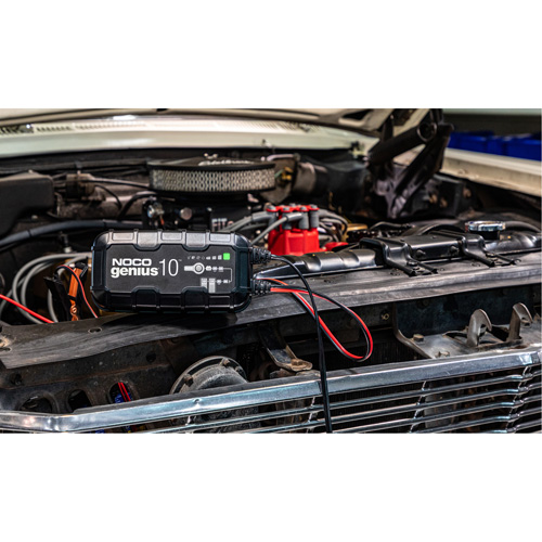 Chargeur de batterie 10 A Genius 10 Brunswick Fyr & Safety