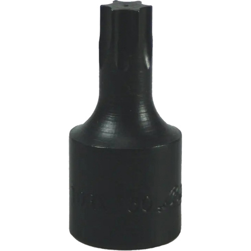 T-50 Torx&reg; Bit Brunswick Fyr & Safety