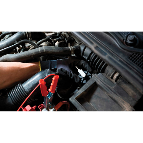 Tall Frame Brake-Pro Pressure Brake Bleeder with Adapters Brunswick Fyr & Safety