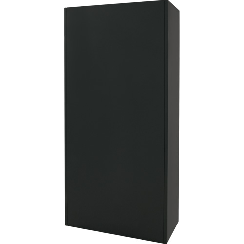 Armoire de rangement combin&eacute;e, 36" la x 18" p x 72" h, Noir Brunswick Fyr & Safety