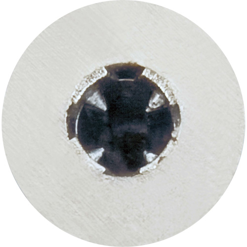 Ancrage pour plaques de pl&acirc;tre Zip-It avec pointe de perçage Brunswick Fyr & Safety