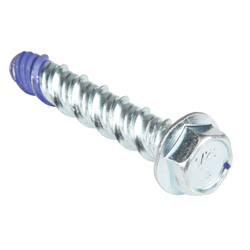 Wedge Bolts, Carbon Steel, 1/2" x 3" Brunswick Fyr & Safety