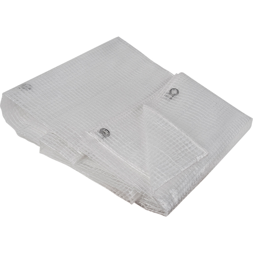 Clear Tarp, 12' x 10' x 8 mils Brunswick Fyr & Safety