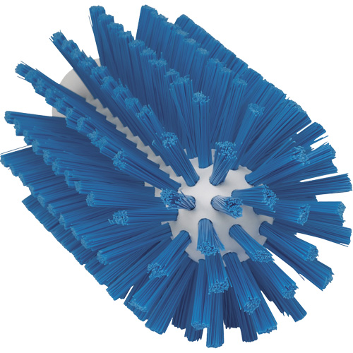 Food Hygiene Brush, Medium Bristles, 6" Long, Blue Brunswick Fyr & Safety