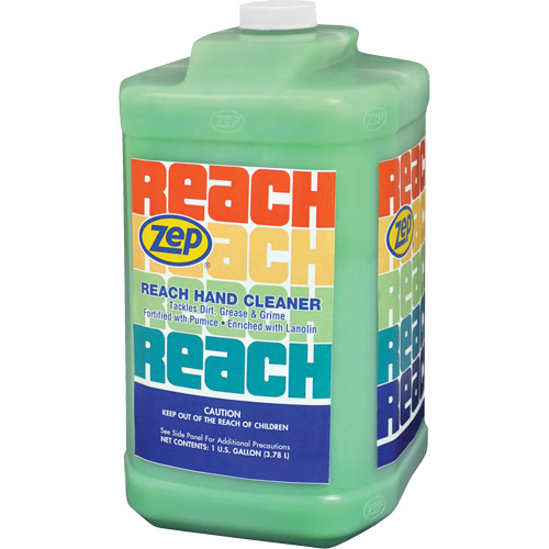 Reach Extra Heavy-Duty Hand Cleaner, Pumice, 3.78 L, Jug, Scented Brunswick Fyr & Safety