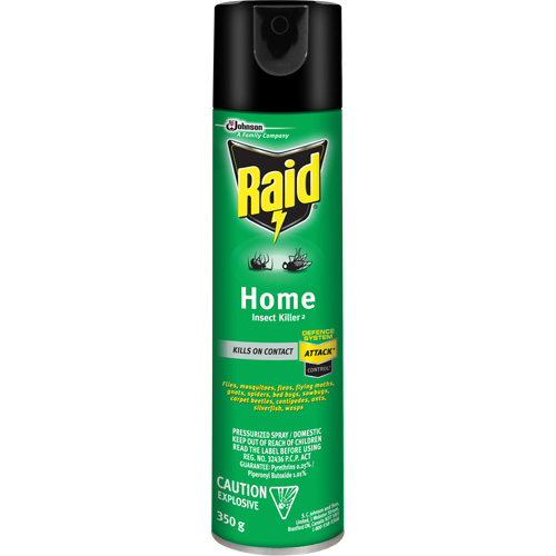 Raid&reg; Home Insect Killer, 350 g, Solvent Base Brunswick Fyr & Safety