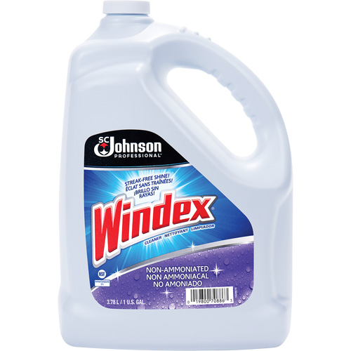 Nettoyant multi-surface non ammoniac&eacute; de Windex, 3,8 L, Cruche Brunswick Fyr & Safety