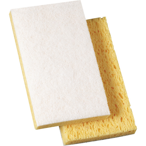 Scotch-Brite Light Duty Scrub Sponge, 3-3/5" L x 6" W Brunswick Fyr & Safety
