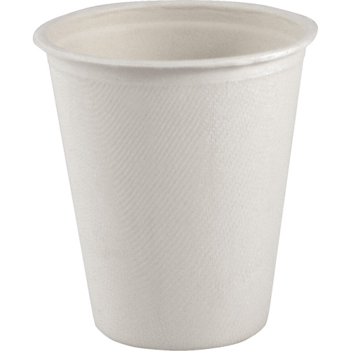 Gobelet compostable &agrave; paroi unique pour boisson chaude, Papier, 8 oz, Blanc Brunswick Fyr & Safety