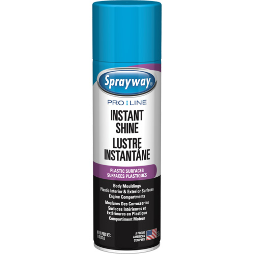 Pro Line Instant Shine for Plastic Surfaces, 11 oz., Aerosol Can Brunswick Fyr & Safety