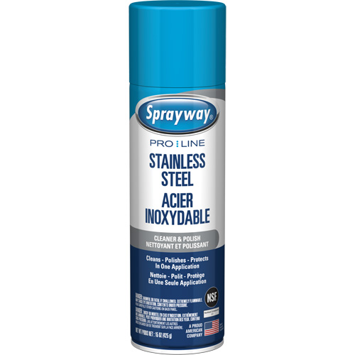 Nettoyant & polis pour acier inoxydable Pro Line, 15 oz, Canette a&eacute;rosol Brunswick Fyr & Safety