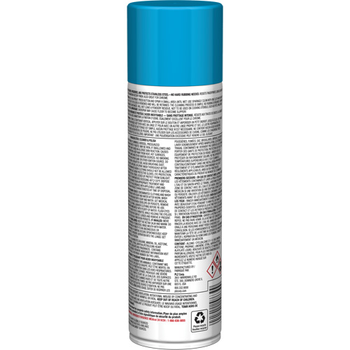 Nettoyant & polis pour acier inoxydable Pro Line, 15 oz, Canette a&eacute;rosol Brunswick Fyr & Safety