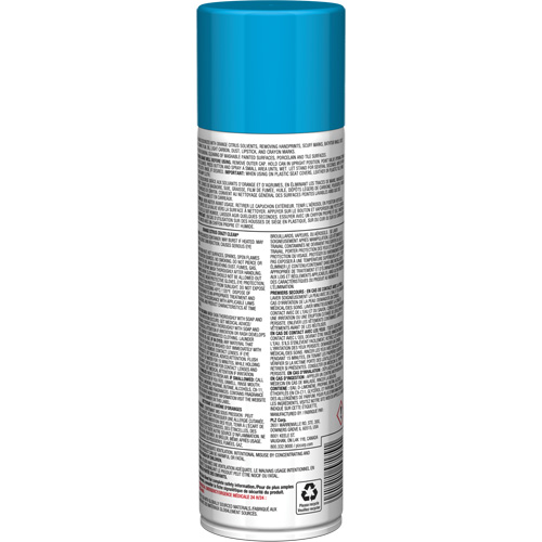Nettoyant tout usage Pro Line Crazy Clean, 19 oz., Canette a&eacute;rosol Brunswick Fyr & Safety