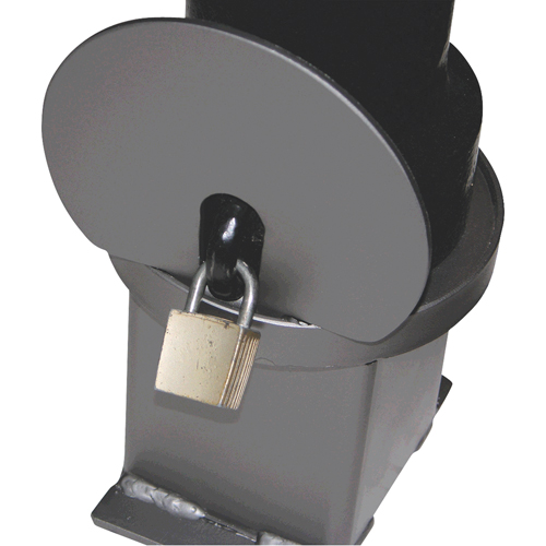 Bornes d&eacute;coratives amovibles, Acier, 40" h x 4-1/2" la, Noir Brunswick Fyr & Safety