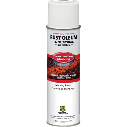 Water Based Marking Paint, 17 oz., Aerosol Can Brunswick Fyr & Safety