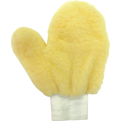 Paint Mitt Brunswick Fyr & Safety