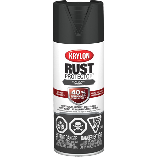Rust Protector&reg; Enamel Paint, Black, Very Flat, 12 oz., Aerosol Can Brunswick Fyr & Safety