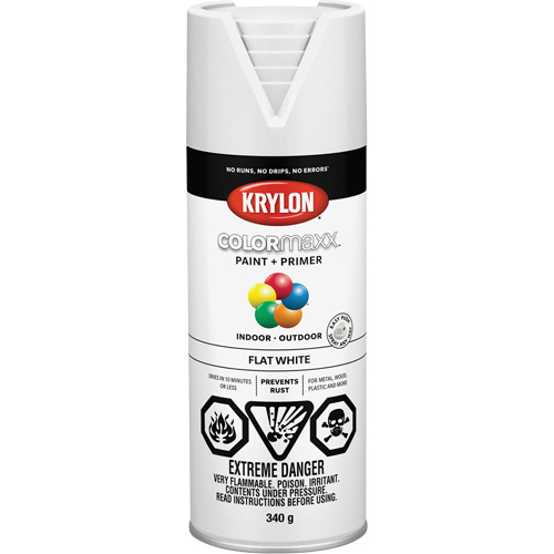 Appr&ecirc;t + peinture COLORmaxx, Blanc, Tr&egrave;s mat, 12 oz, Canette a&eacute;rosol Brunswick Fyr & Safety