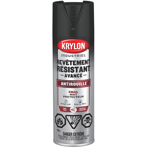 Tough Coat&reg; Advanced Paint with Rust Barrier Technology, Black, Flat, 425 g, Aerosol Can Brunswick Fyr & Safety