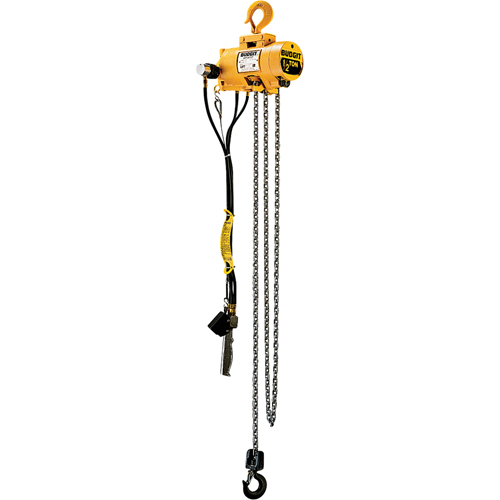 Budgit&reg; Air Chain Hoists Brunswick Fyr & Safety
