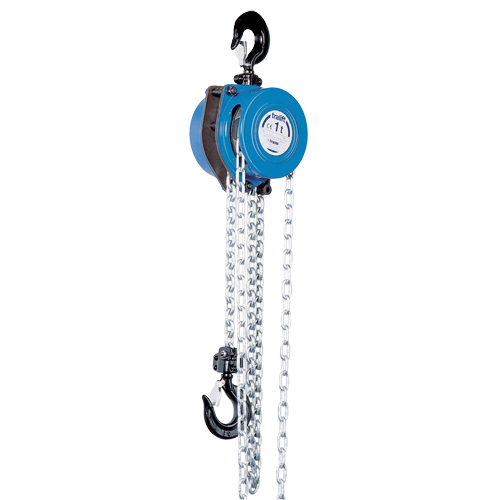 Tralift&reg; Chain Hoist, 10' Lift, 3000 lbs. (1.5 tons) Capacity, Grade 80 Chain Brunswick Fyr & Safety