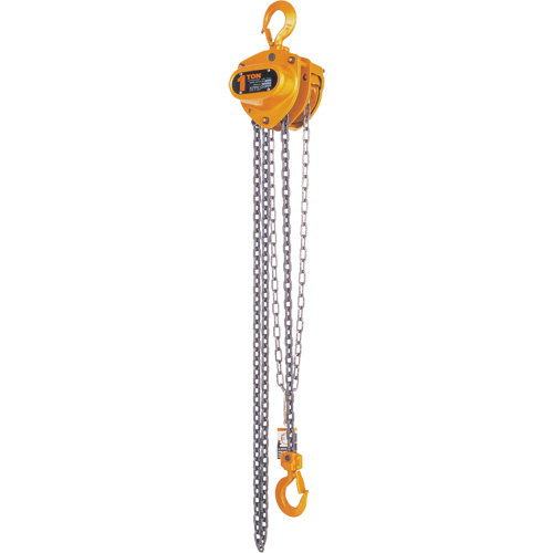 Kito Manual Chain Hoist, 15' Lift, 2000 lbs. (1 tons) Capacity, Steel Chain Brunswick Fyr & Safety