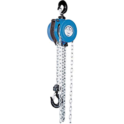 Tralift&reg; Manual Chain Hoist, 10' Lift, 4000 lbs. (2 tons) Capacity, Grade 80 Chain Brunswick Fyr & Safety