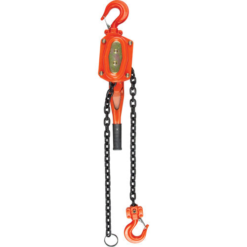 Lever Hoist, 5' Lift, 6000 lbs. (3 tons) Capacity, Alloy Steel Chain Brunswick Fyr & Safety