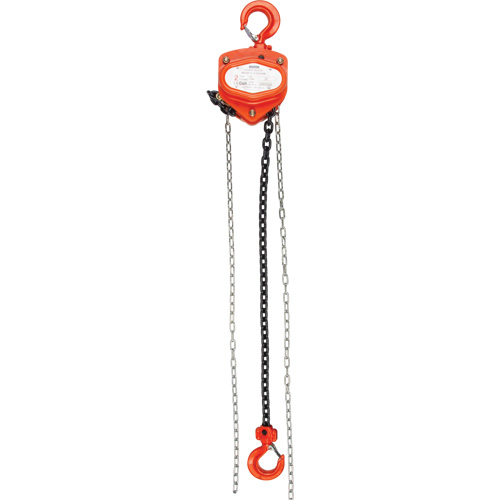Chain Hoist, 20' Lift, 2000 lbs. (1 tons) Capacity, Alloy Steel Chain Brunswick Fyr & Safety