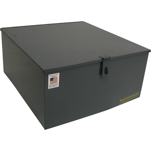 Mover Tricycles Brunswick Fyr & Safety