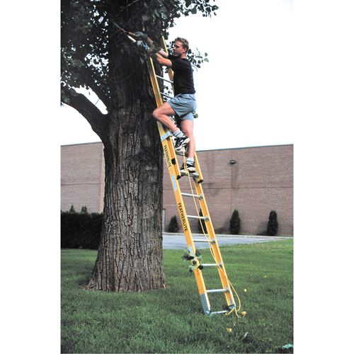 Industrial Heavy-Duty Extension Ladders (6200 Series), 375 lbs. Cap., 13' H, Grade 1AA Brunswick Fyr & Safety